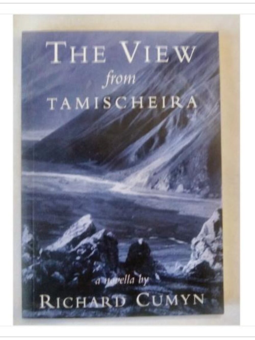 The View from Tamischeira A Novella Beach Holme Publishing 1st 2003 PB Signed